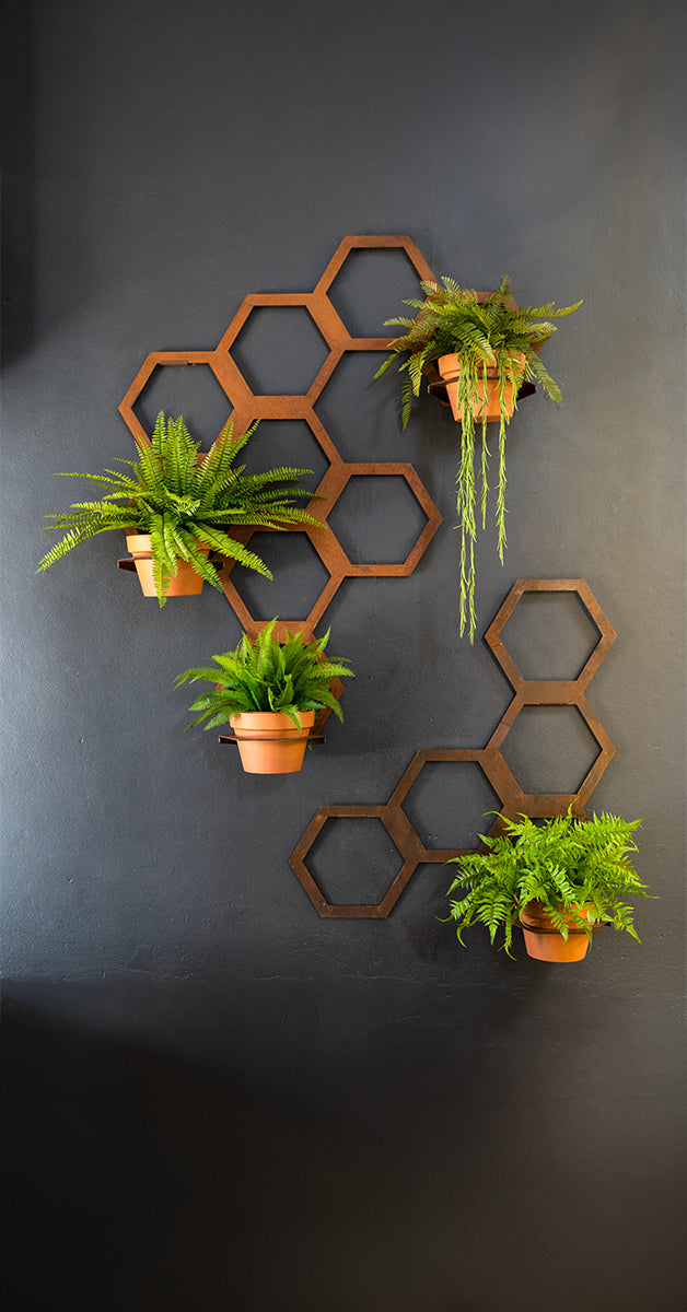 Hexagon Trellis- Wall Planter