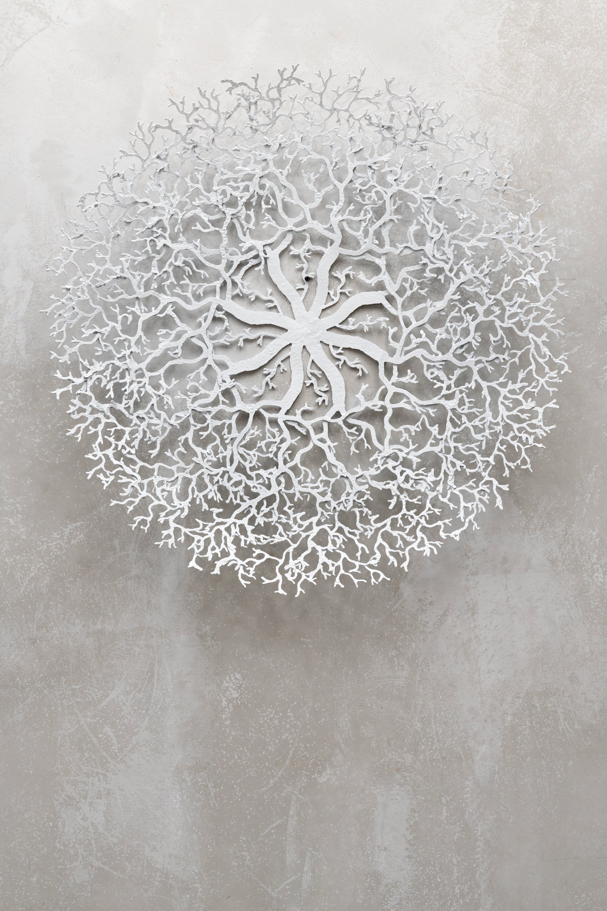 Sun Sponge Metal Wall Art