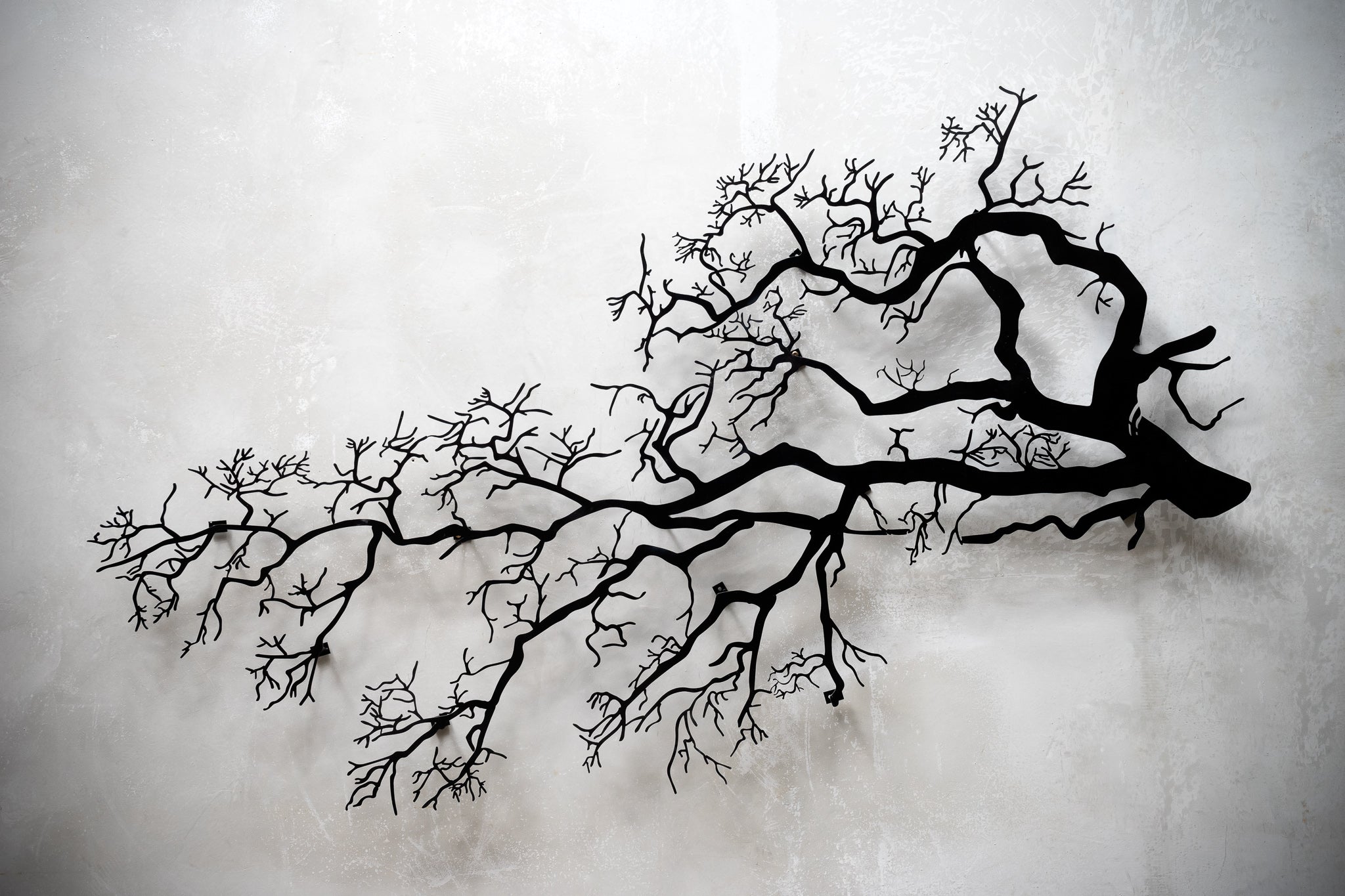 Polarised Tree Deco Metal Wall Art