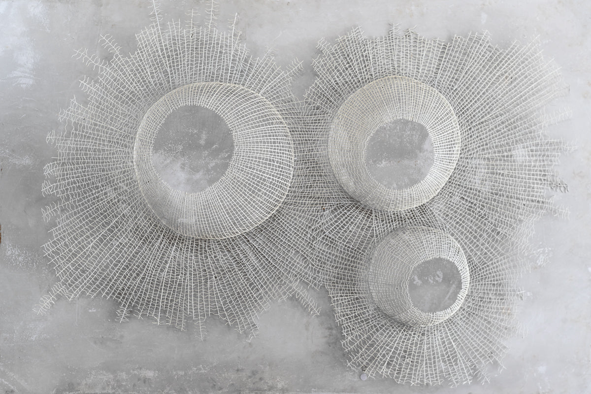 Sea Urchin – Metal Wall Art