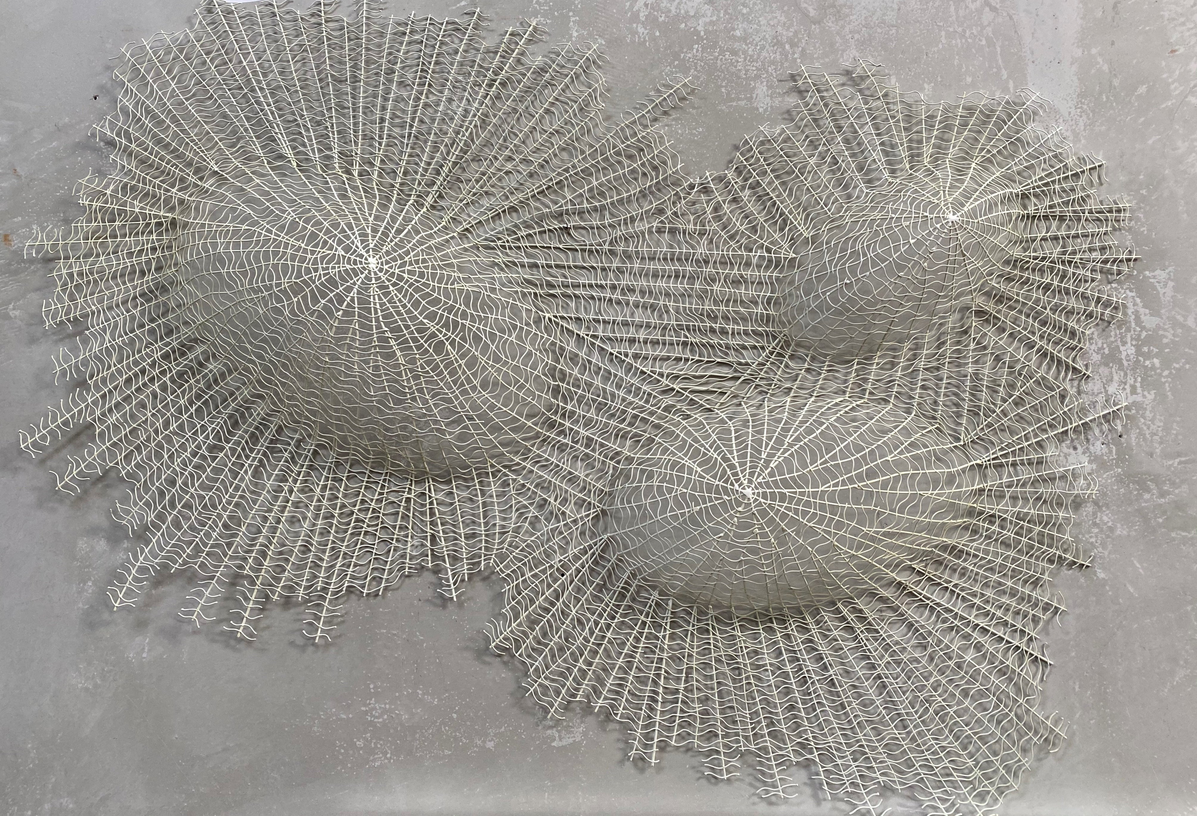 Shell Cluster Metal Wall Art - Small