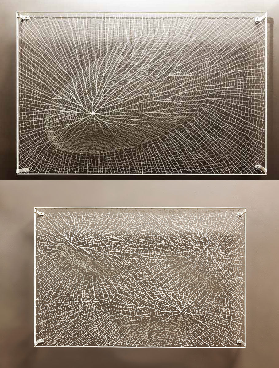 Shell Range – Metal Wall Art